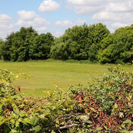 CheddletonBasford View别墅 外观 照片